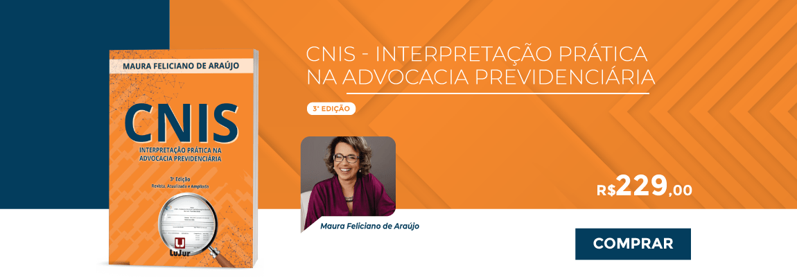 CNIS Interpretação Prática na Advocacia Previdenciária - 3a edição