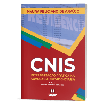 CNIS INTERPRETAÇÃO PRÁTICA NA ADVOCACIA PREVIDENCIÁRIA   2ªEdição